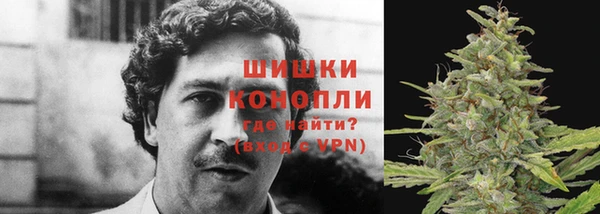 кокс Осинники