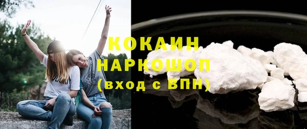 дурь Няндома