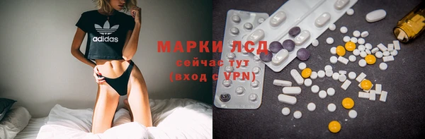 дурь Няндома