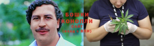 дурь Няндома