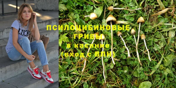 мет Фёдоровский
