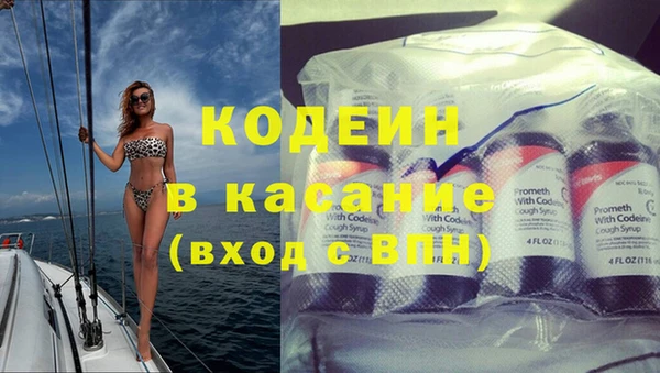 дурь Няндома