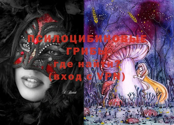 марки lsd Нязепетровск