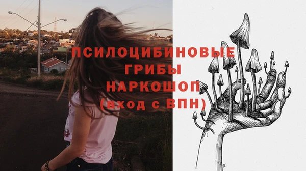 марки lsd Нязепетровск