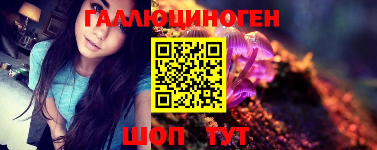 Галлюциногенные грибы Psilocybine cubensis Ишимбай