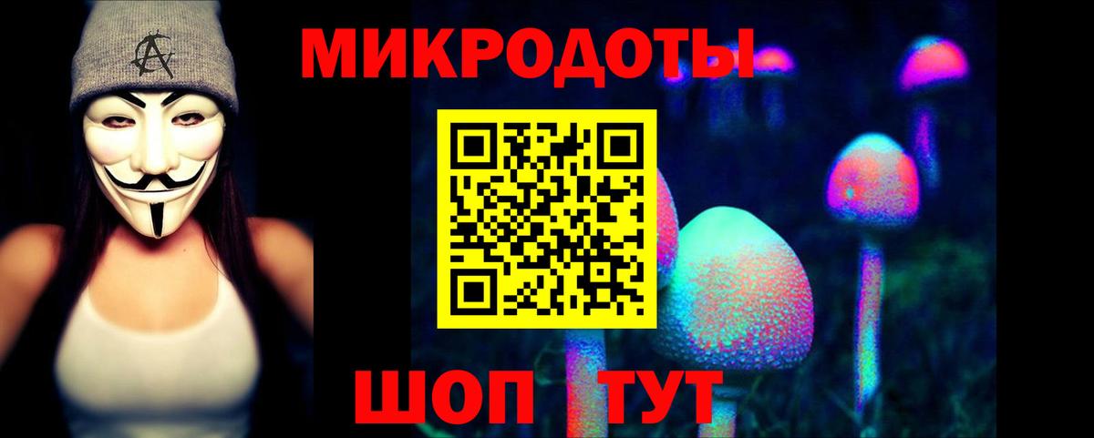 Ишимбай  Галлюциногенные грибы мицелий  Вход с VPN  Галлюциногенные грибы Psilocybe 